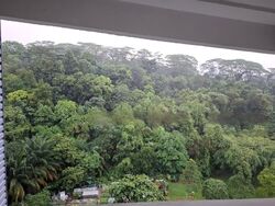 Blk 118 Sunset Way Residence (Clementi), HDB 4 Rooms #459674451